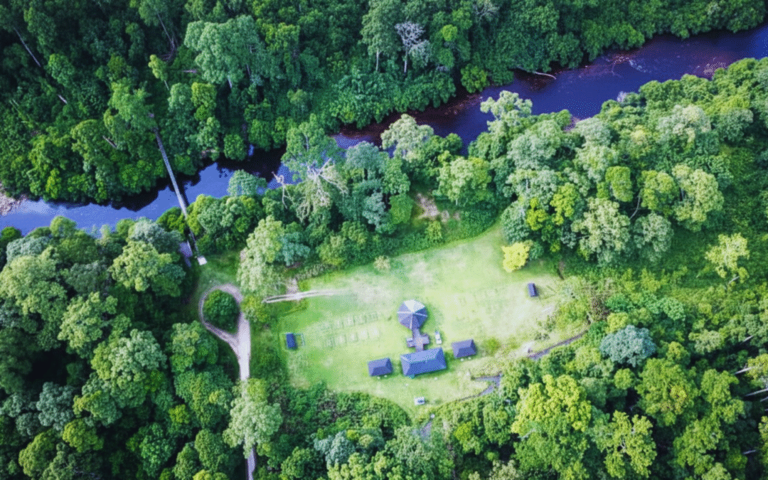Maliau Basin Conservation Area: Sabah’s Hidden Rainforest Gem