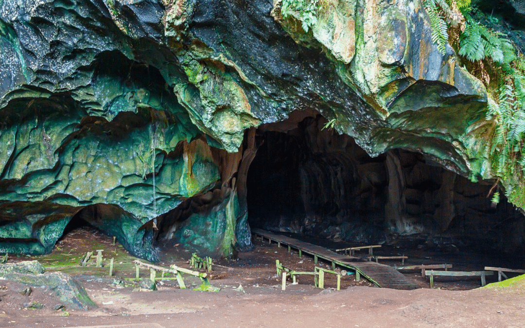 Madai Caves Sabah: Hidden Gem of Borneo Adventure