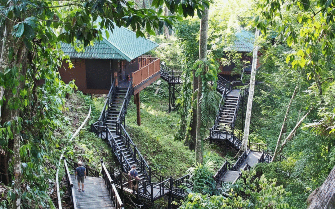 Ultimate Travel Guide to Tabin Wildlife Reserve Lahad Datu