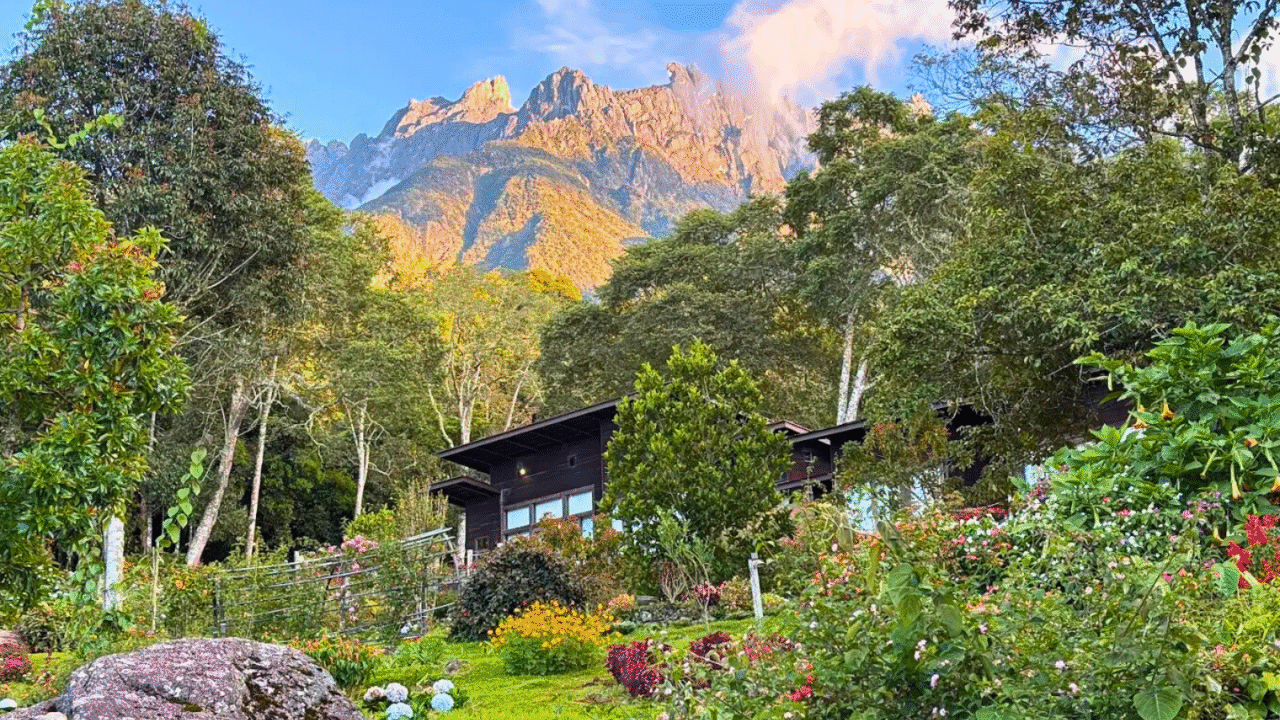 Spring Garden Kundasang: Sabah’s Floral Escape Awaits - Sabah Car ...