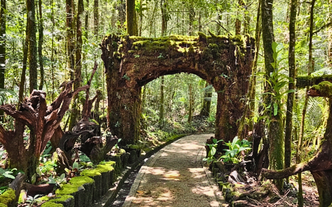Botanical Garden Kinabalu Park – A Flora Wonderland