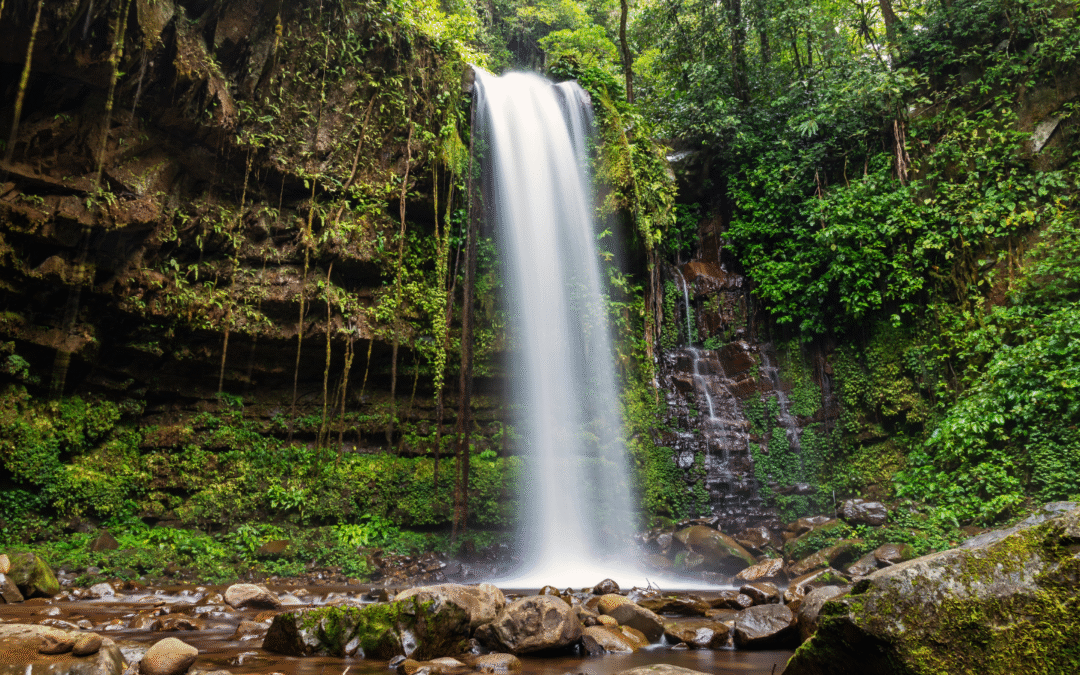 Crocker Range National Park Sabah – Adventure and Wildlife
