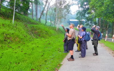 Deramakot Forest Reserve Sabah – Borneo Wildlife Adventure