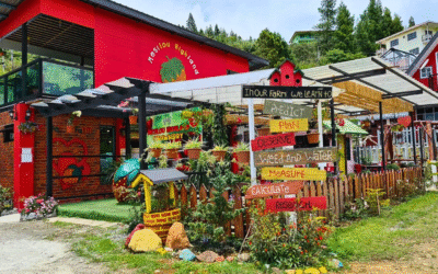 Strawberry Farm Sabah: Sweet Escape in Kundasang