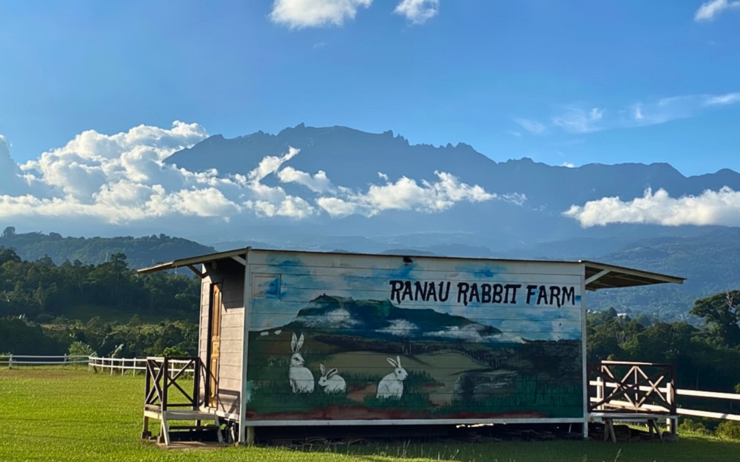 Ranau Rabbit Farm and Mont K Skybike Adventure