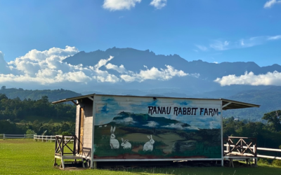 Ranau Rabbit Farm and Mont K Skybike Adventure