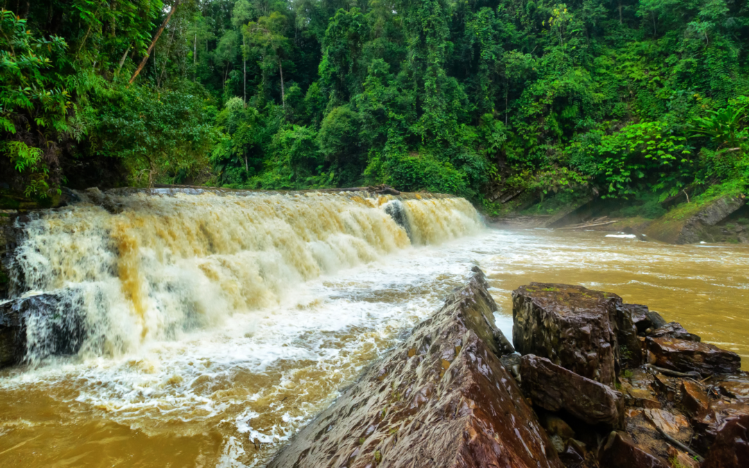Imbak Canyon Conservation Area: Sabah’s Hidden Rainforest